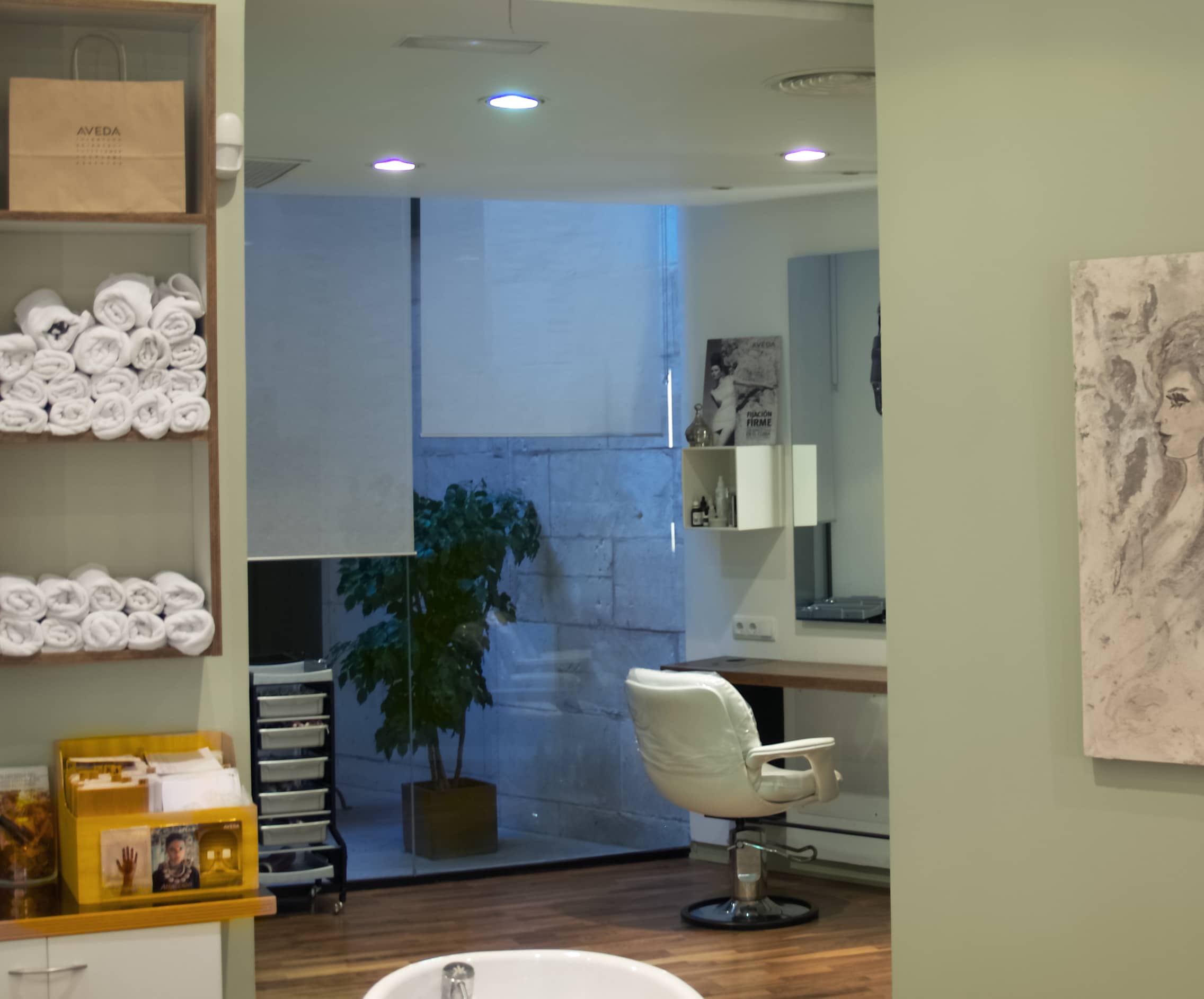 Área Interior del Salón